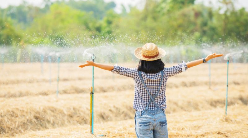 asia-young-female-farmer-hat-standing-walk-field-woman-inspecting-agricultural-garden-plant-growth-concept-ecology-transport-clean-air-food-bio-product(1)